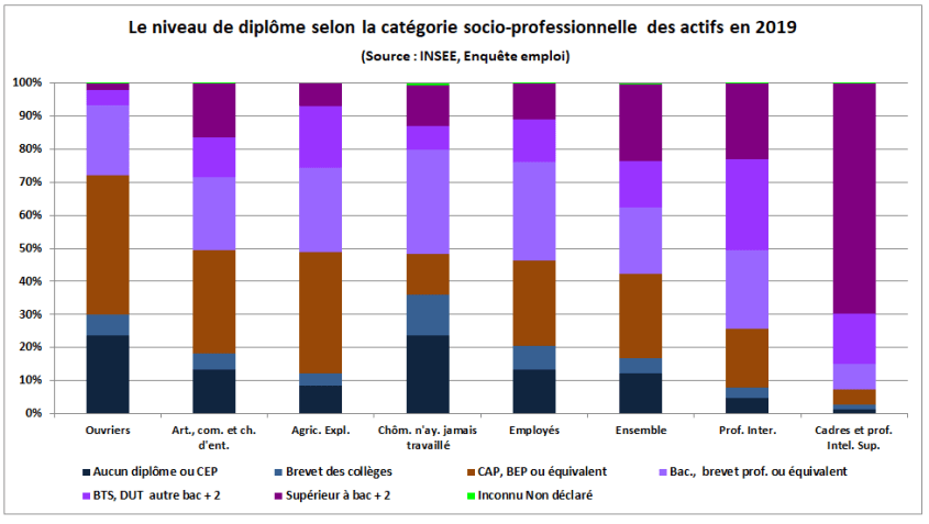 WD3408DIPLOMESPARCSP2019